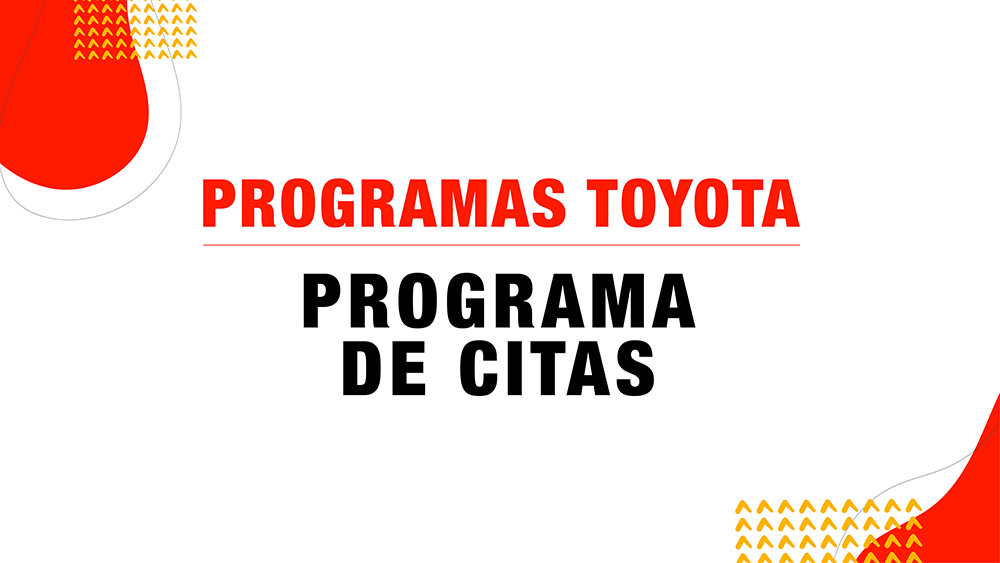 Programa de citas
